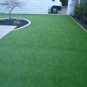 ARAN   NEW GREEN SERVICE (55)